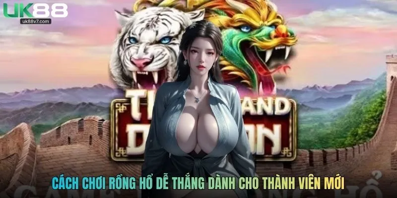 Cách chơi rồng hổ dễ thắng dành cho thành viên mới