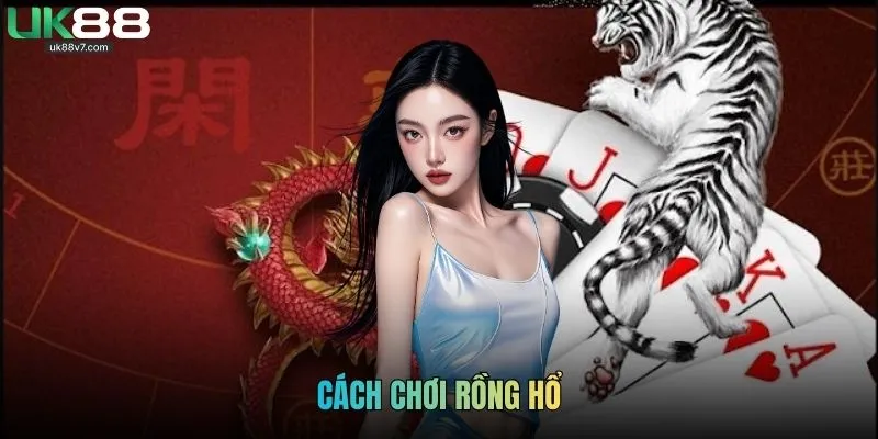 Cách Chơi Rồng Hổ Chi Tiết Và Kinh Nghiệm Đặt Cược